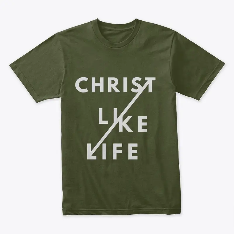 Christ Like Life